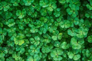 無料体験の予約は即日でも可能ですか？