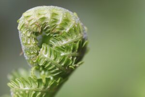 全国展開するAIジムの特徴とは？