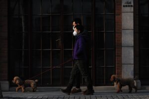通常のジムとAIを比較するとどちらが効果的か？